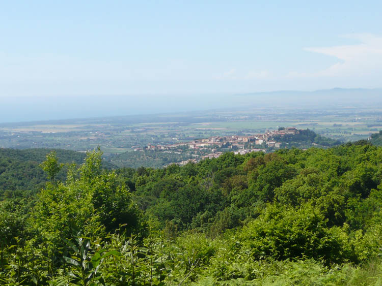 View of Castagneto Carducci